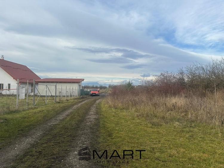 Teren Intravilan 1105 mp Sanpetru - 1