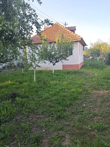 Casa vanzare Cocorasti, comuna Plesoiu, judetul Olt+ teren extraviln - 1