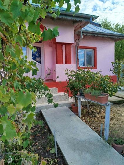 Proprietar vad casa Comuna Bucsani sat Obedeni,jud Giurgiu - 8