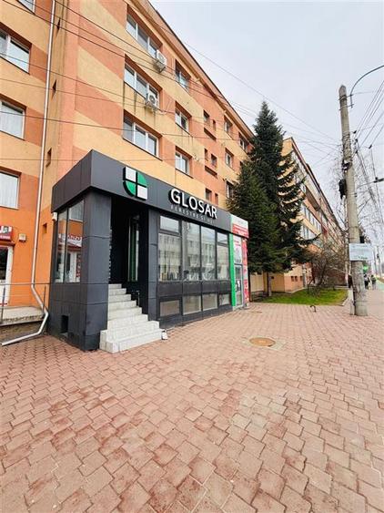 Spatiu de inchririat - Statie Banca - 2