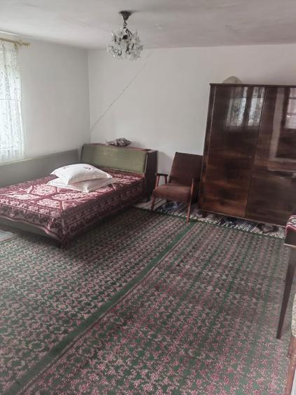 Vanzare casa pitoreasca, teren 2500mp - 6