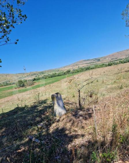 Teren extravilan 5008 mp, in Iara - 3