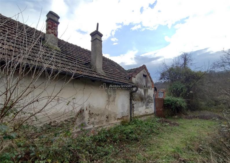 Bogodint, Casa 440mp cu 4 Hectare Teren, Pret Negociabil - 17