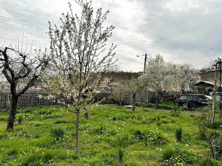 Casă cu Teren 2470 Mp în Mârțești