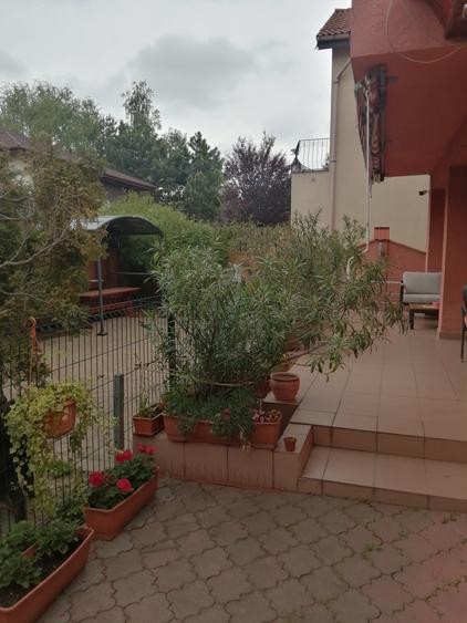 Vila cochetă Pipera, teren 650 mp - 8