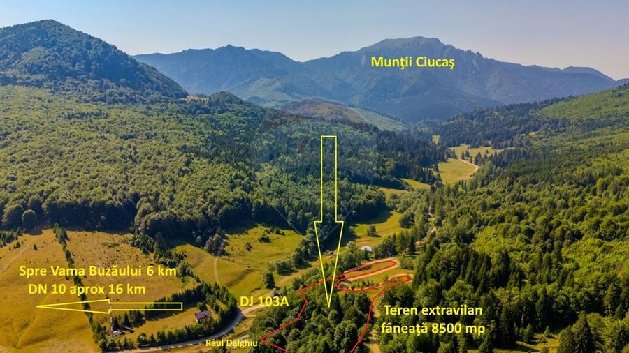 Teren 8500 mp, Valea Dalghiului - Dalghiu - vedere catre Ciucas - 1