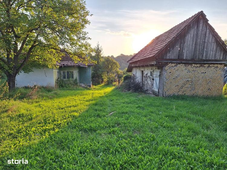 Teren cu casa si anexe - centru comuna, acte in regula - 9