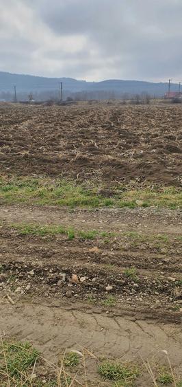 Teren intravilan sau parcele la iesire din Targu Neamt spre Pascani. - 5