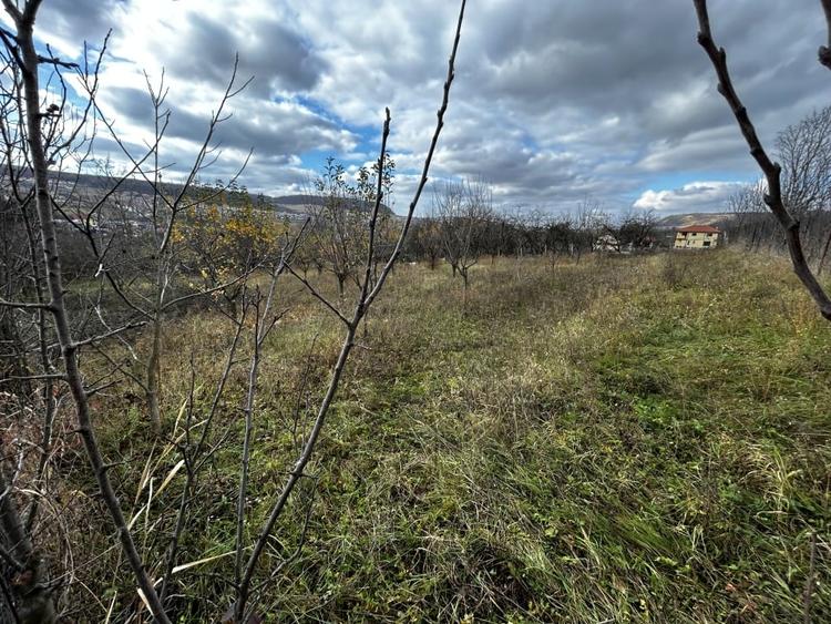 Teren intravilan in Chinteni 1.250mp pentru case sau Duplex - 1