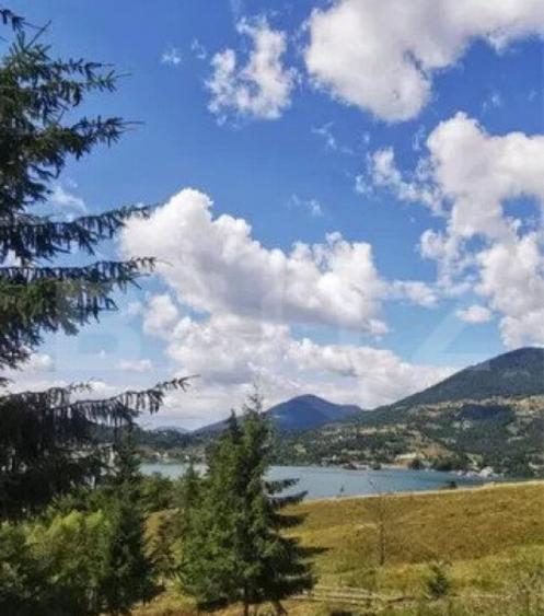 Teren Colibita, 1120 mp - 4