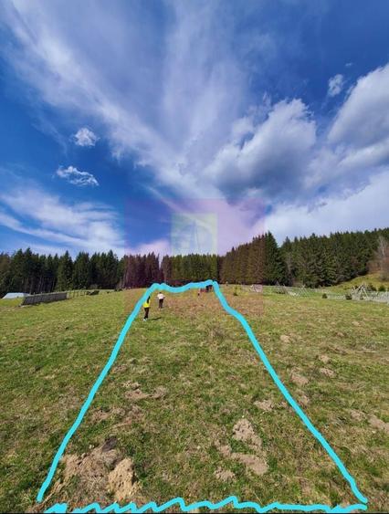 Teren intravilan 2500 mp in Valea Doftanei - 1