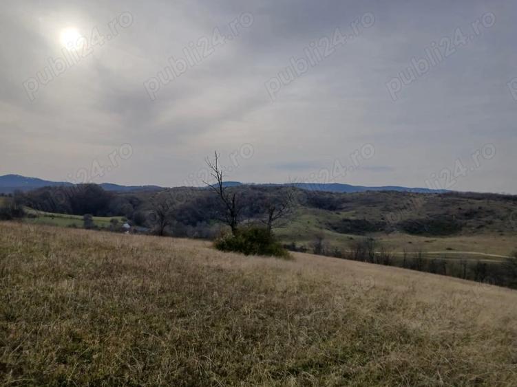 Teren de 19150 mp, în Tomnatic