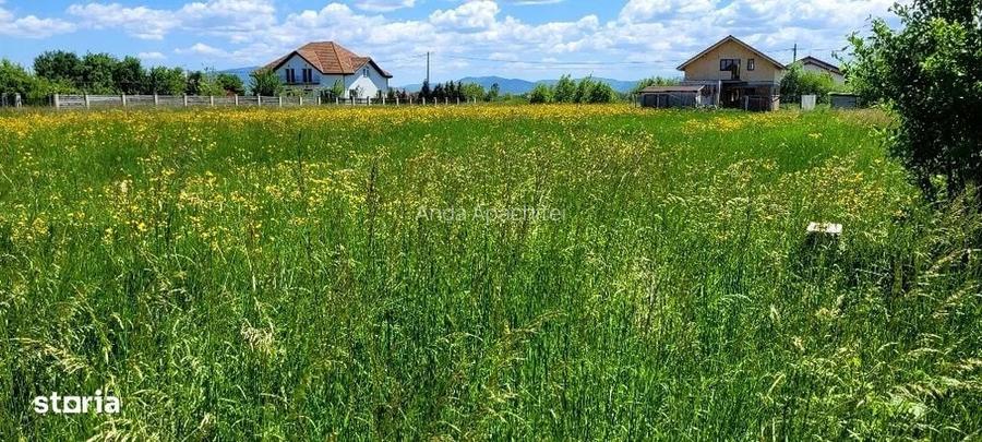 Teren Intravilan Podul Olt