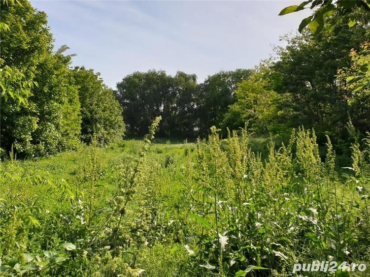 Casă cu 3 camere în Frumușani