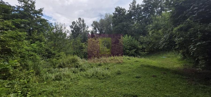 Teren de 15000 mp, în Telega