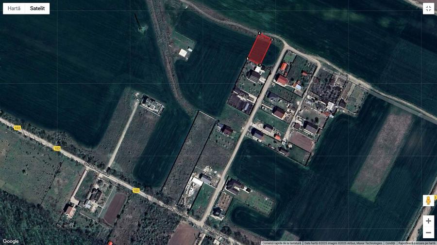 Vand Teren Magurele langa padure Cornetu - 1