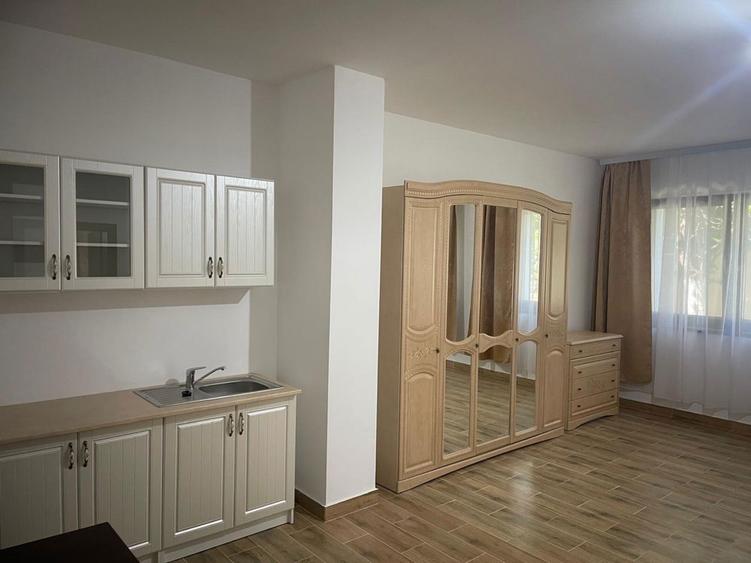 Apartament / Garsoniera de inchiriat Caransebes - 3