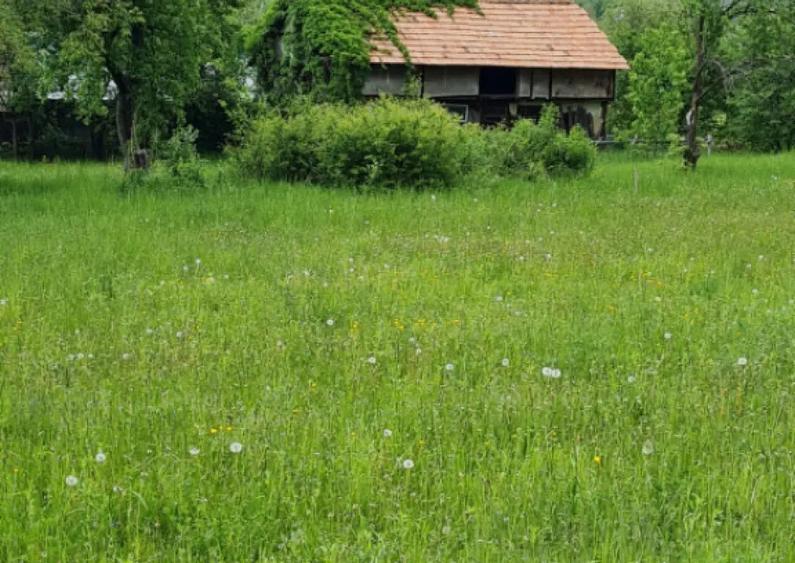 Teren splendid Vaduri cu utilita?i si vecini de calitate - 1