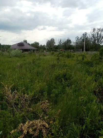 Teren Construcții intravilan de 3356 mp, în Răzvad