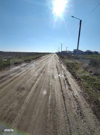 Lot 5 parcele intravilan, Metro, 7439 mp, acces la utilitati - 1