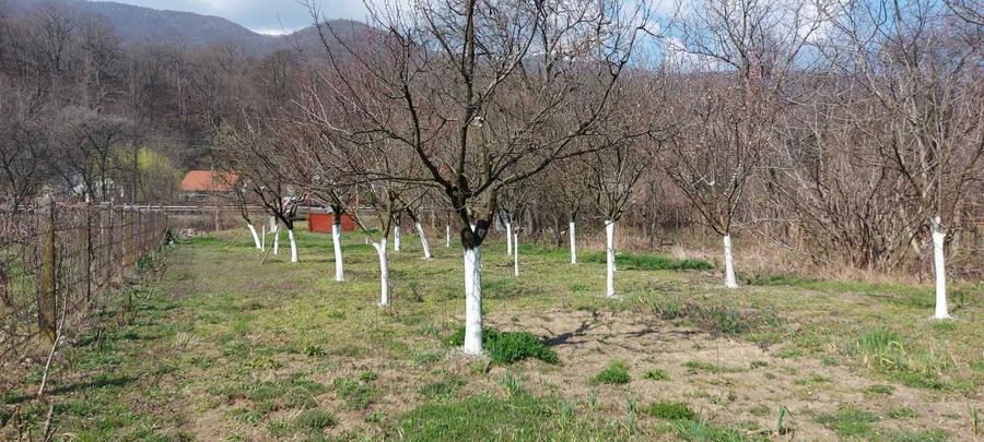 Teren intrare Herculane,E 70 Herculane-Orsova - 5