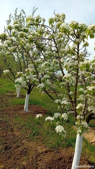 De vanzare casa cu 2000m patrati - 1