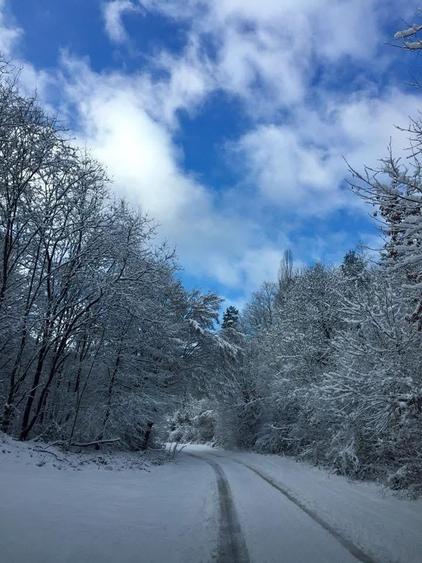 Teren intravilan 5660 mp - 10