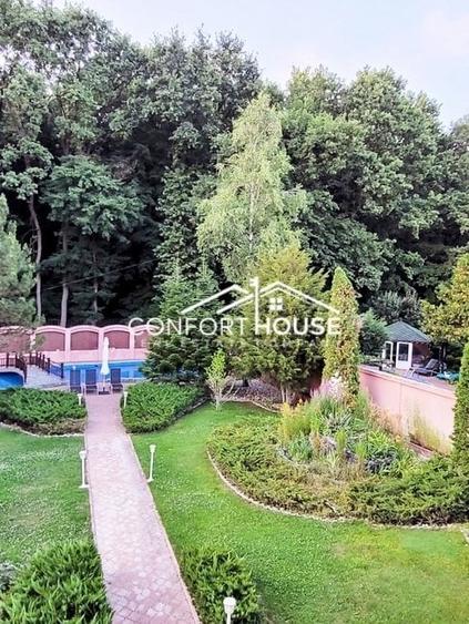 VILA D+P+E+M, 12 camere, piscina , padure, IANCU NICOLAE - 36