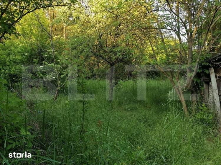 Casă cu 6 camere cu Teren 1056 Mp în Malu cu Flori