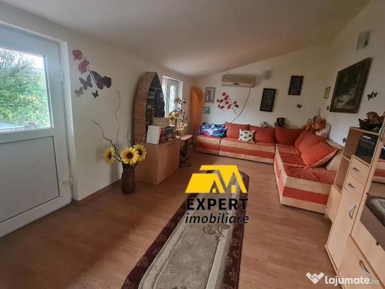 Casa Brailita sup 577 mp ,mobilata complet - 6