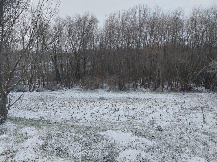 Vand lot de casa - 5