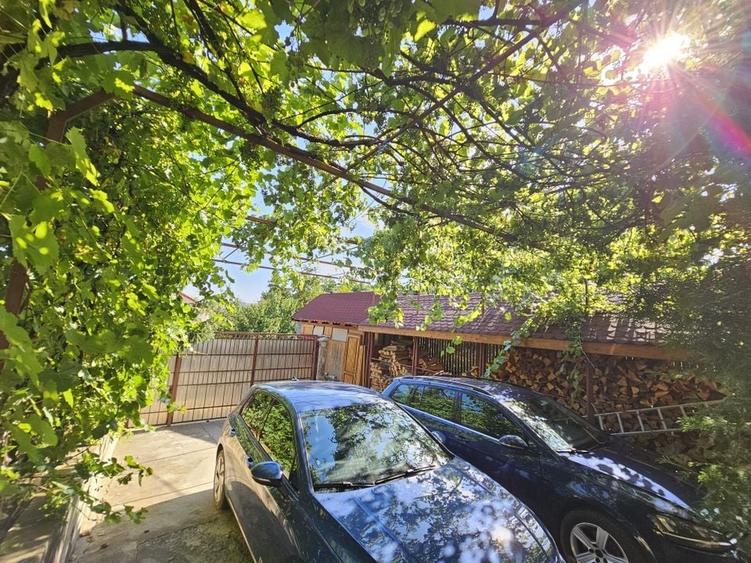 Vila superba de vanzare in Vintila Voda, Buzau D+P+1 si anexe - 11