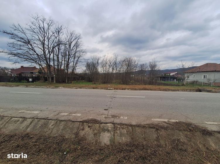 Teren str Balciului la strada ideal pt hale si casa - 1