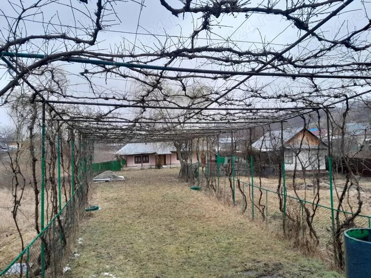 Casa + teren 5000 mp, Podoleni, Neam? - 4