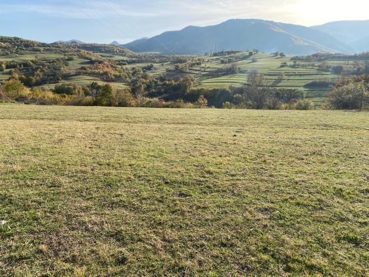 O oportunitate care îți atinge sufletul: Teren de vis la ieșirea din Rășinari - 2