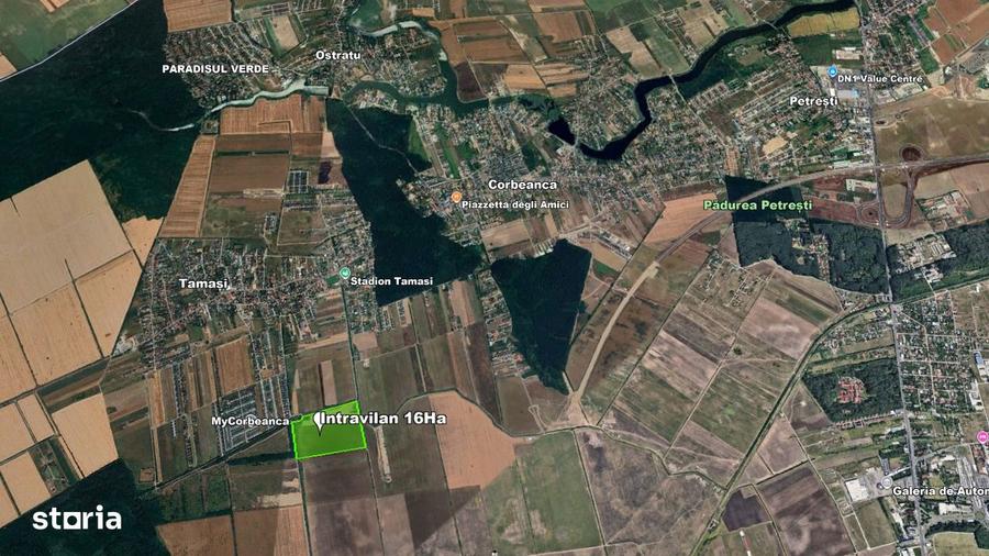 Teren intravilan 16 Ha, tangent DR4, acces dublu la asfalt - 1