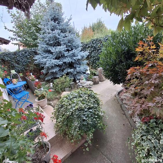 Duplex de vanzare, Mosnita Veche, 5 cam, 132 utili, toate utilitatile - 4
