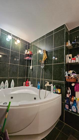 Apartament Centrul Civic,vedere Tampa,mobilat-utilat,178000 Euro - 9