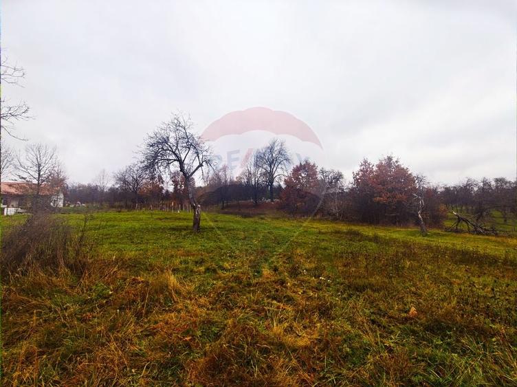 Teren de vânzare Unguraș cu priveliște si anexe - 7