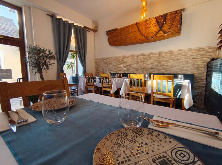 DE VÂNZARE – Spațiu de alimentație publică 53mp+111mp teren