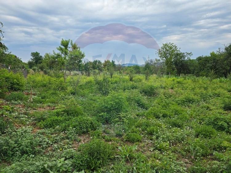 Comision 0! Casa din inima Subcarpatilor -- comuna Cislau, teren 5000mp - 18