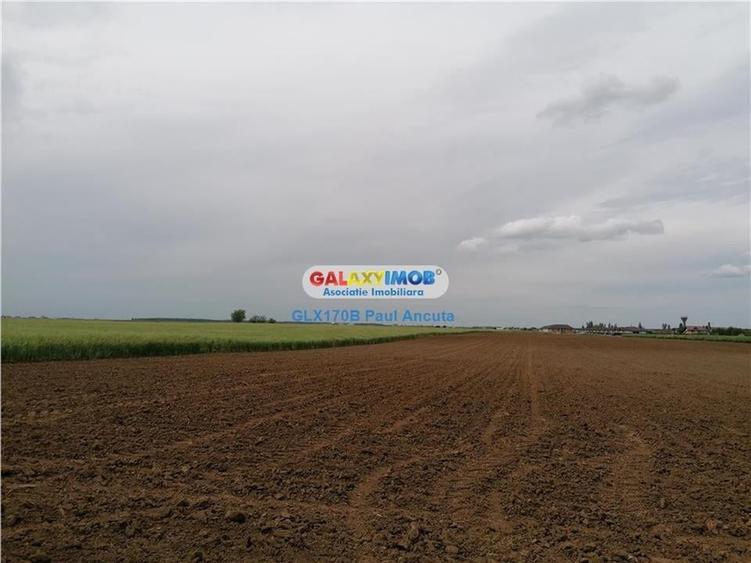 Teren Balotesti 16700 mp intravilan str Lunii apropiere utilitati - 1