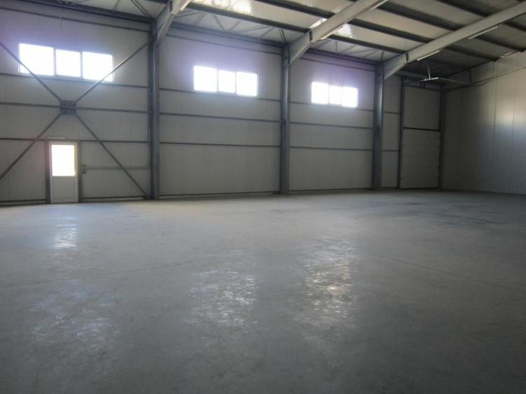 ZONA EST - Theodor Pallady - DRUMUL INTRE TARLALE - A2 - 3