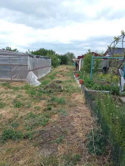 Casa de vanzare in Garbovi, jud. Ialomi?a la doar 70 km de Bucure?ti! - 7