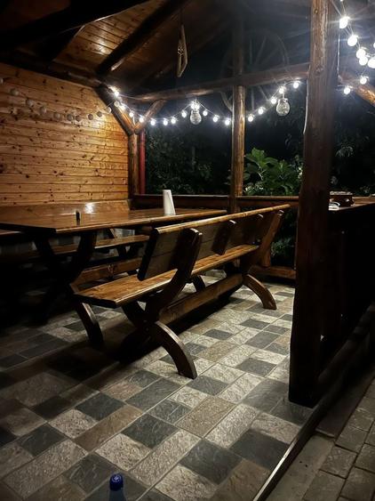 Proprietar,vand sau schimb cu apartament ,casa vacanta Tocile - 7