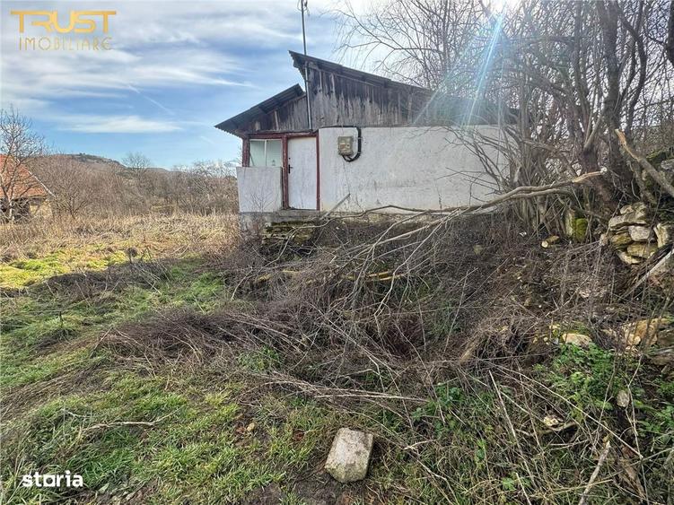 Teren intravilan I 1000 MP I Nadaselu - 1