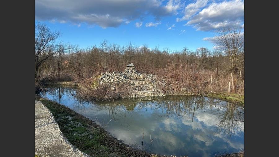 Proprietate cu doua imobile, com Dragutesti. Comision 0% - 18