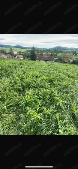 Vand casa la ?ara. - 2