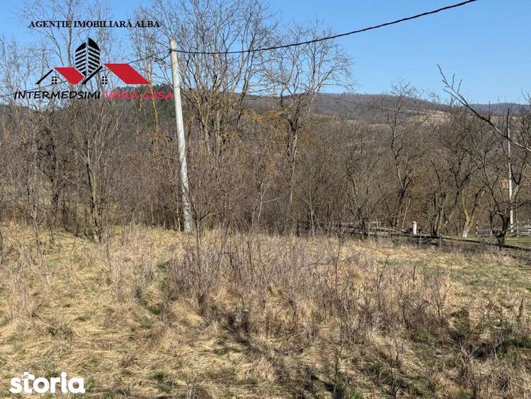 Casa si anexe cu un teren de 7701 mp de vanzare in Stauini Jud Alba - 8