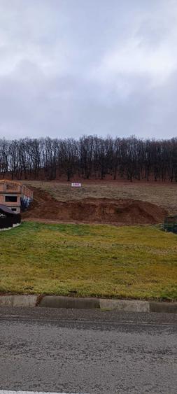 Teren Intravilan Strada Dedradului - 2